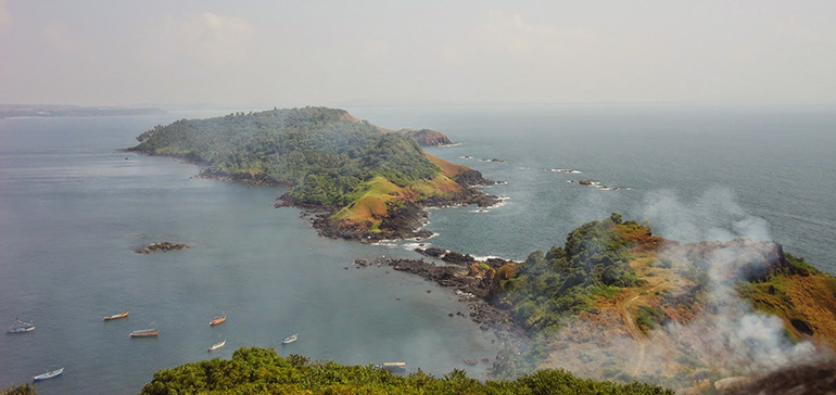 Bat Island Goa